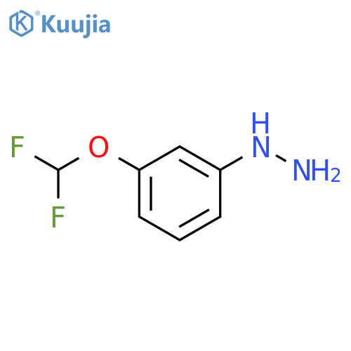 3-(difluoromethoxy)phenylhydrazine structure