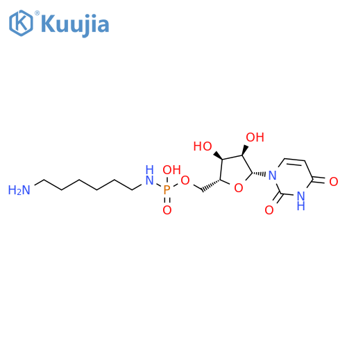 Uridine, 5'-[hydrogen (6-aminohexyl)phosphoramidate] (9CI) structure
