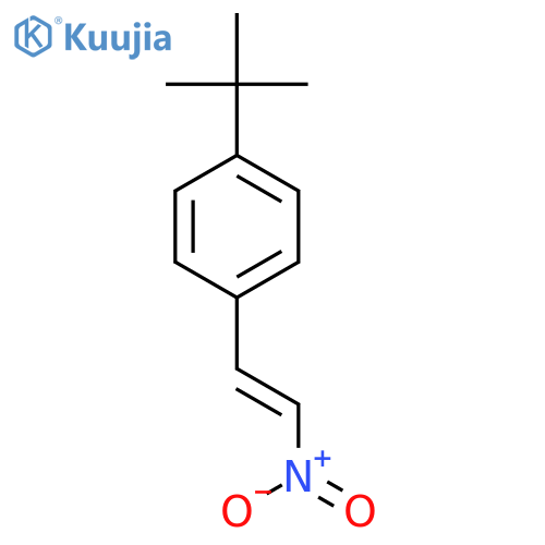 1-tert-butyl-4-(2-nitroethenyl)benzene structure