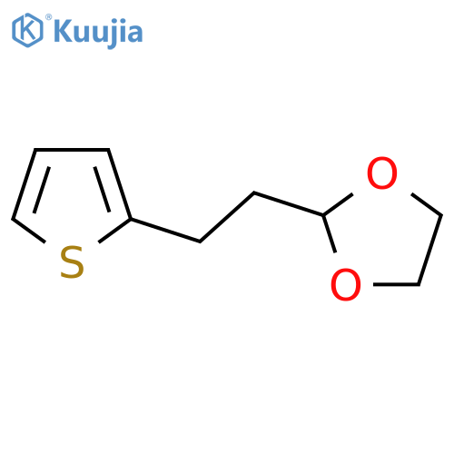 1,3-Dioxolane, 2-[2-(2-thienyl)ethyl]- structure