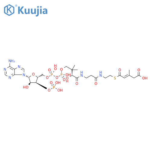 3-Methylglutaconyl CoA structure