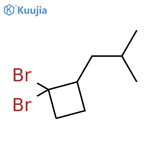 Cyclobutane, 1,1-dibromo-2-(2-methylpropyl)- structure