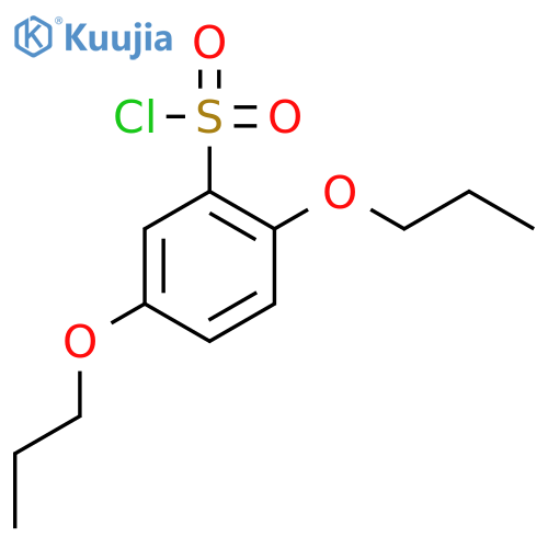 Benzenesulfonyl chloride, 2,5-dipropoxy- structure
