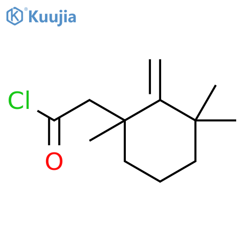 Cyclohexaneacetyl chloride, 1,3,3-trimethyl-2-methylene- structure
