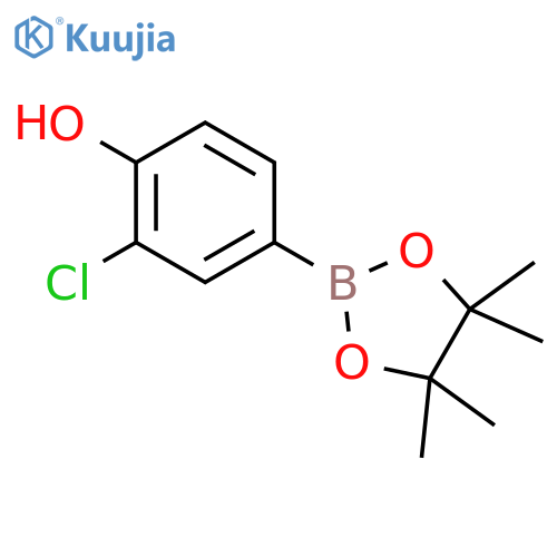 3-Chloro-4-hydroxyphenylboronic acid, pinacol ester structure