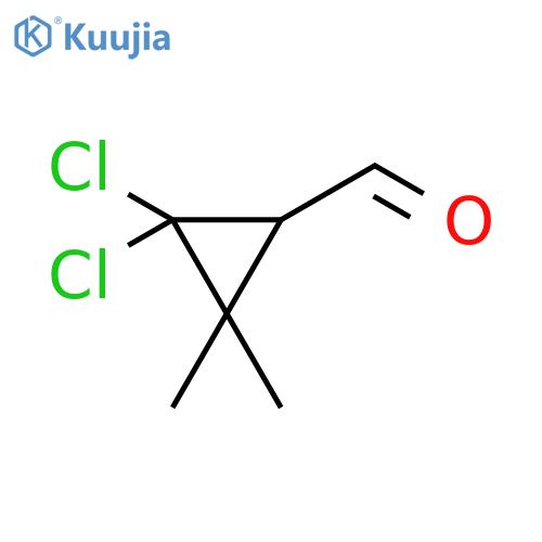 CYCLOPROPANECARBOXALDEHYDE, 2,2-DICHLORO-3,3-DIMETHYL- structure