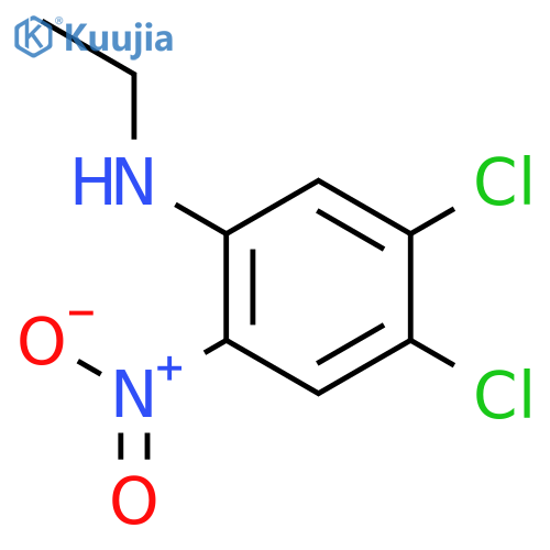 4,5-dichloro-N-ethyl-2-nitroaniline structure