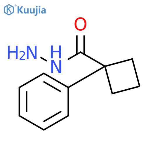 1-phenylcyclobutane-1-carbohydrazide structure