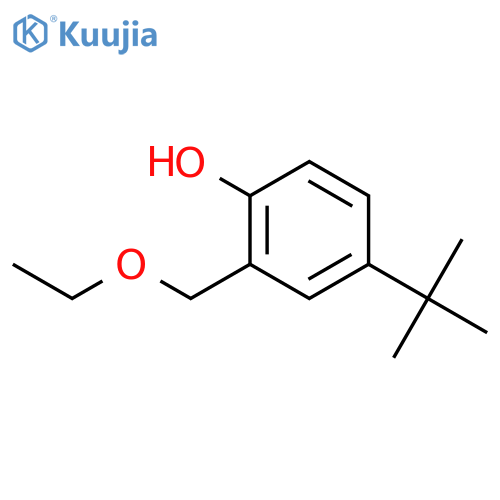 4-tert-butyl-2-(ethoxymethyl)phenol structure
