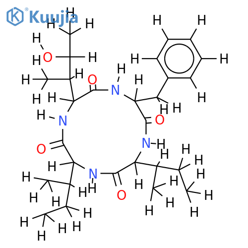 WSS2219 structure