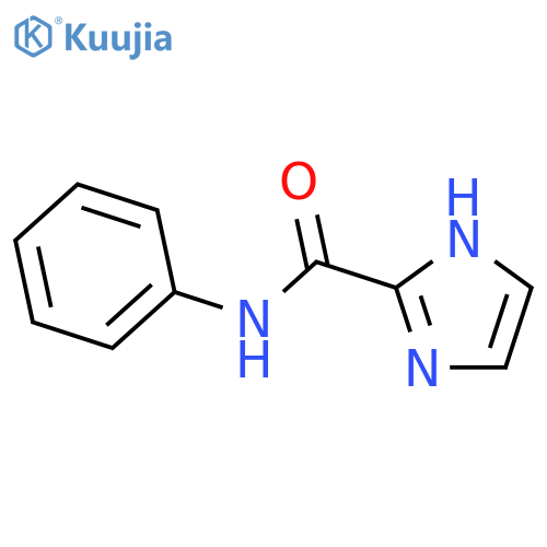 N-phenyl-1H-Imidazole-2-carboxamide structure
