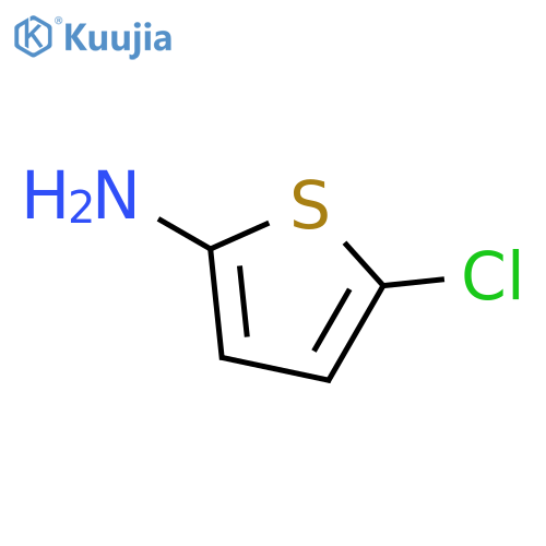 5-chlorothiophen-2-amine structure