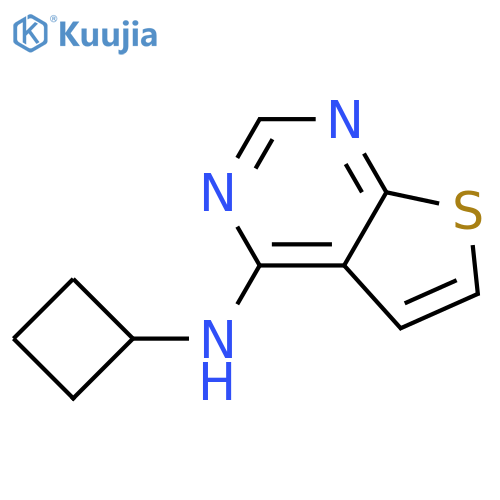 Thieno[2,3-d]pyrimidin-4-amine, N-cyclobutyl- structure