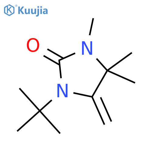 2-IMIDAZOLIDINONE, 1-(1,1-DIMETHYLETHYL)-3,4,4-TRIMETHYL-5-METHYLENE- structure