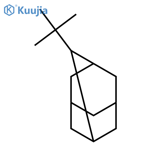 TRICYCLO[3.3.1.13,7]DECANE, 2-(1,1-DIMETHYLETHYL)- structure