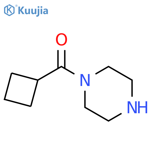 1-cyclobutanecarbonylpiperazine structure