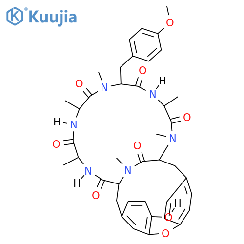 RA-V structure