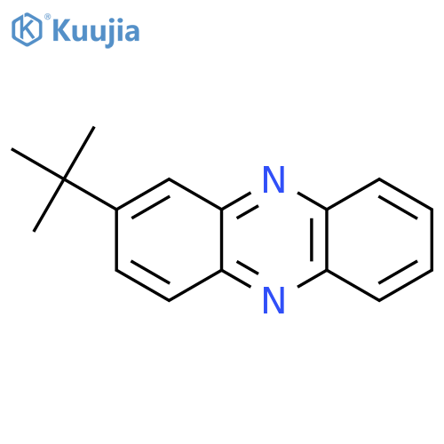2-tert-Butylphenazine structure