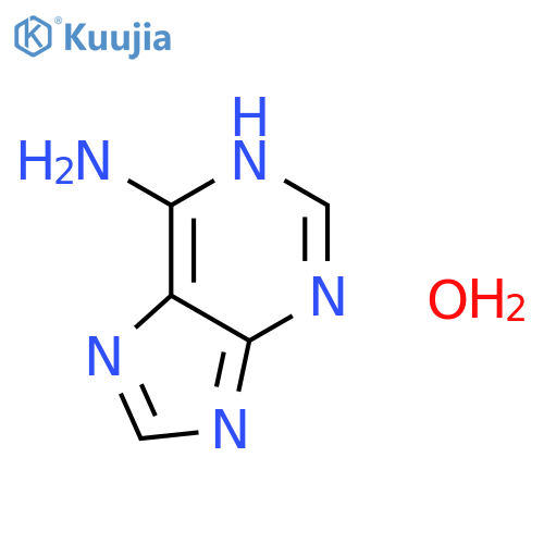 7H-Purin-6-amine--water (1/1) structure