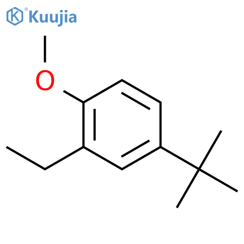 Benzene, 4-(1,1-dimethylethyl)-2-ethyl-1-methoxy- structure