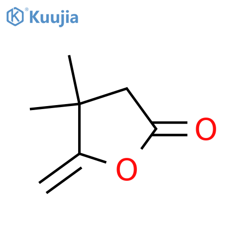 4,4-dimethyl-5-methylideneoxolan-2-one structure