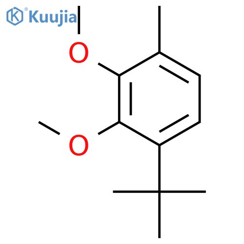 Benzene, 1-(1,1-dimethylethyl)-2,3-dimethoxy-4-methyl- structure