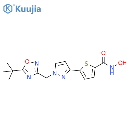 2-Thiophenecarboxamide,5-[1-[[5-(1,1-dimethylethyl)-1,2,4-oxadiazol-3-yl]methyl]-1H-pyrazol-3-yl]-N-hydroxy- structure