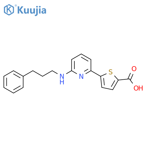 2-Thiophenecarboxylic acid, 5-[6-[(3-phenylpropyl)amino]-2-pyridinyl]- structure