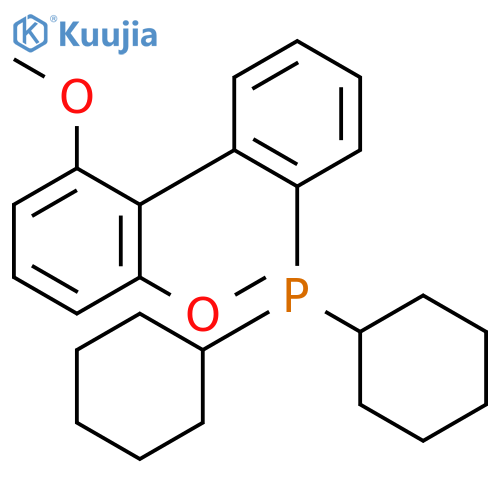 dicyclohexyl-[2-(2,6-dimethoxyphenyl)phenyl]phosphane structure