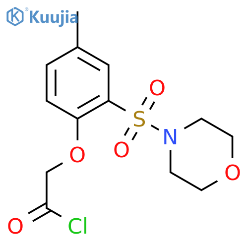 ACETYL CHLORIDE, [4-METHYL-2-(4-MORPHOLINYLSULFONYL)PHENOXY]- structure