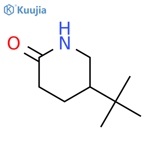 5-tert-butylpiperidin-2-one structure