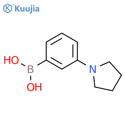 (3-(pyrrolidin-1-yl)phenyl)boronic acid structure