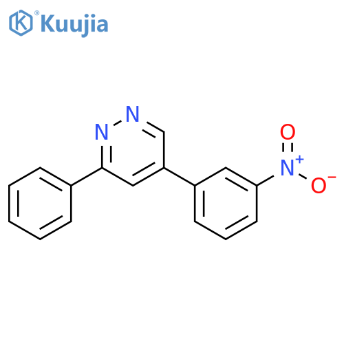 Pyridazine, 5-(3-nitrophenyl)-3-phenyl- structure