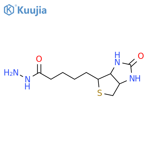 Biotin hydrazide structure