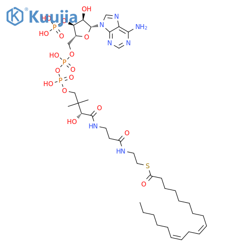 Coenzyme A, S-(9Z,12Z)-9,12-octadecadienoate structure