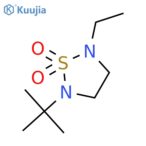 2-tert-Butyl-5-ethyl-1lambda~6~,2,5-thiadiazolidine-1,1-dione structure