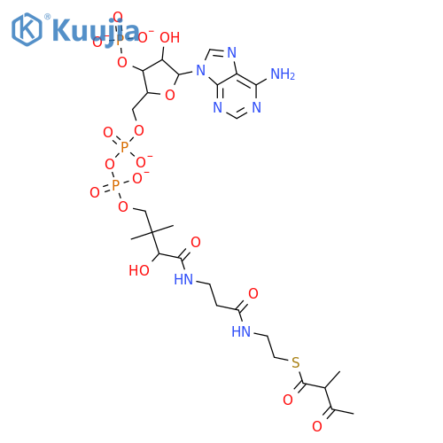 2-Methylacetoacetyl CoA structure