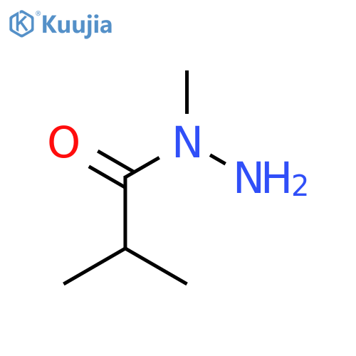 N,2-dimethylpropanehydrazide structure