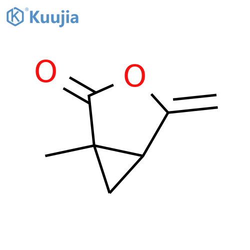 3-Oxabicyclo[3.1.0]hexan-2-one, 1-methyl-4-methylene- structure