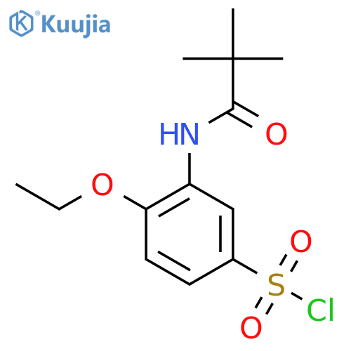4-Ethoxy-3-pivalamidobenzene-1-sulfonyl chloride structure