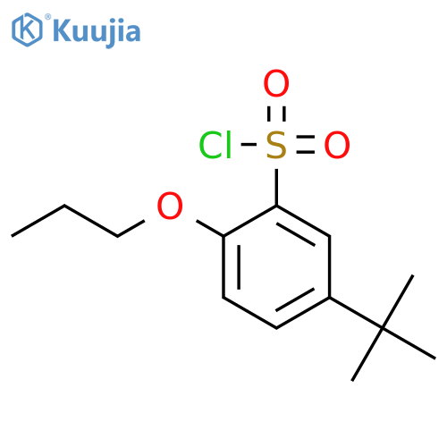 5-TERT-BUTYL-2-PROPOXY-BENZENESULFONYL CHLORIDE structure