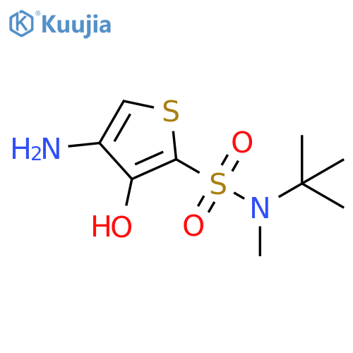 2-Thiophenesulfonamide,4-amino-N-(1,1-dimethylethyl)-3-hydroxy-N-methyl- structure