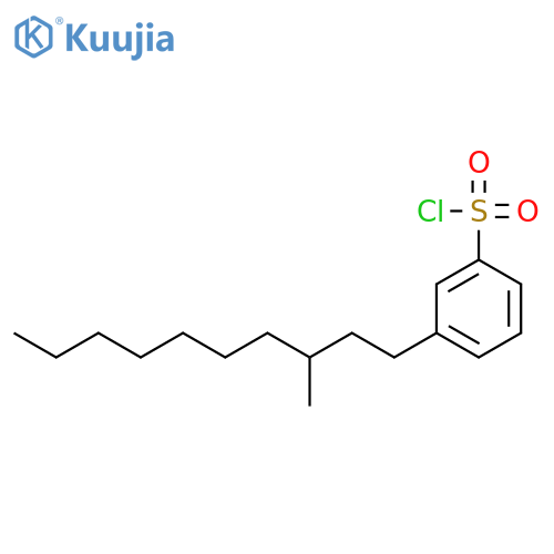 3-(3-methyldecyl)benzenesulfonyl chloride structure