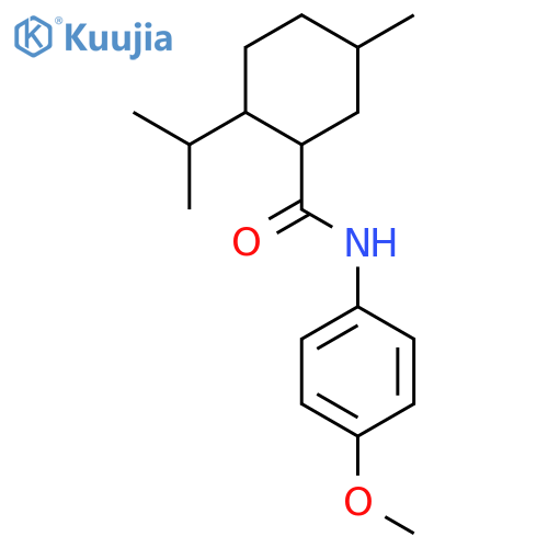 WS 12 structure