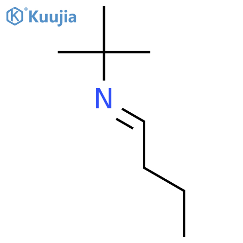 tert-butyl(butylidene)amine structure