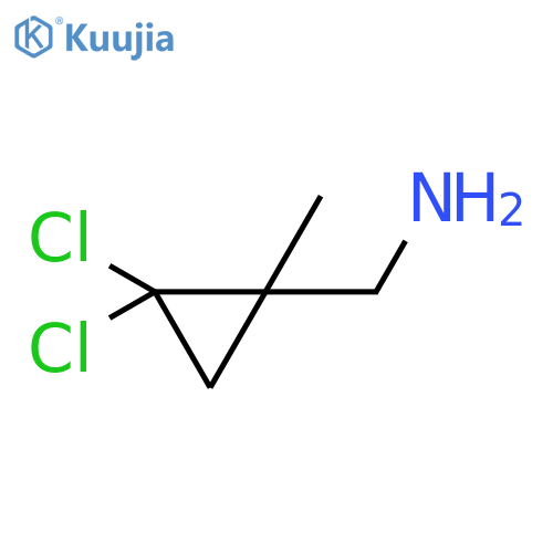 (2,2-dichloro-1-methylcyclopropyl)methanamine structure