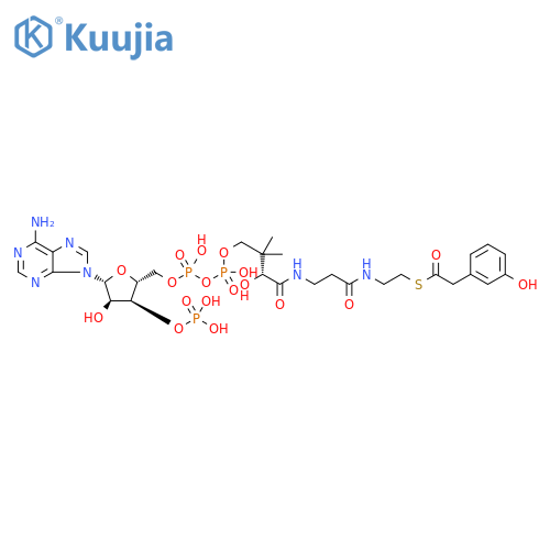 Coenzyme A, S-(3-hydroxybenzeneacetate) structure