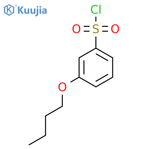 3-Butoxybenzenesulfonyl chloride structure