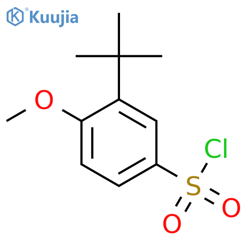 3-tert-butyl-4-methoxybenzene-1-sulfonyl chloride structure