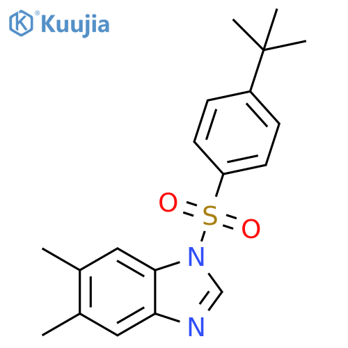1-(4-tert-butylbenzenesulfonyl)-5,6-dimethyl-1H-1,3-benzodiazole structure